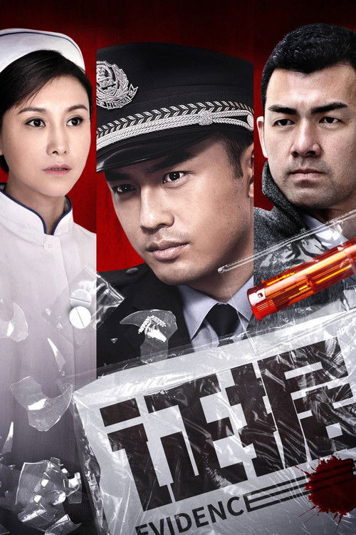 证据 poster
