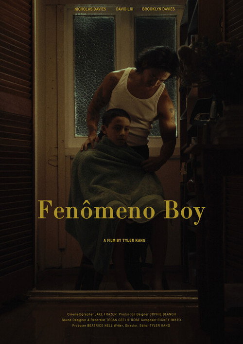 Movie poster for Fenômeno Boy