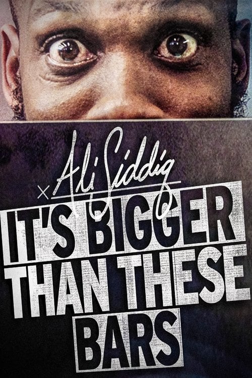 Movie poster for Ali Siddiq: It's Bigger Than These Bars (2018)