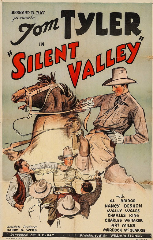 Movie poster for Silent Valley (1935)
