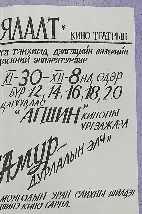 Movie poster for Amur (1996)
