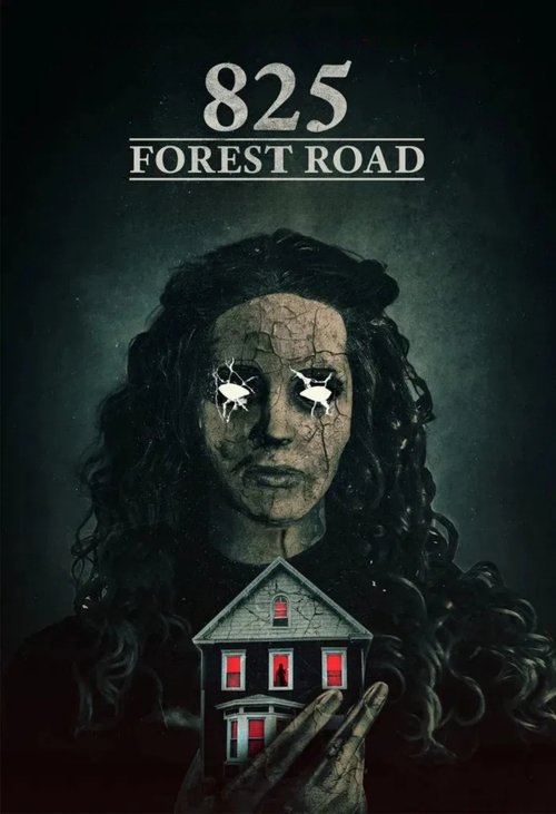 Movie poster for 825 Forest Road (2025)