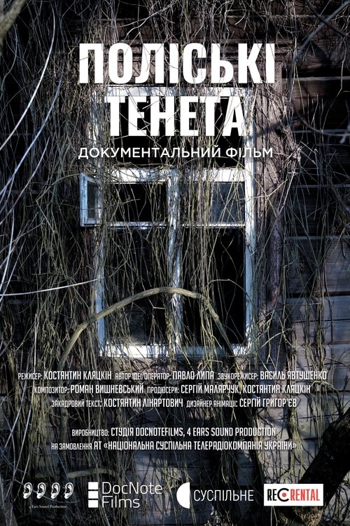 Movie poster for Poliske Nets (2021)