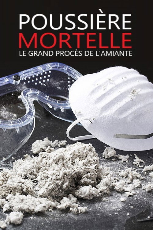Movie poster for Polvere - Il grande processo dell'amianto (2011)