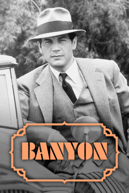 Movie poster for Banyon (1971)
