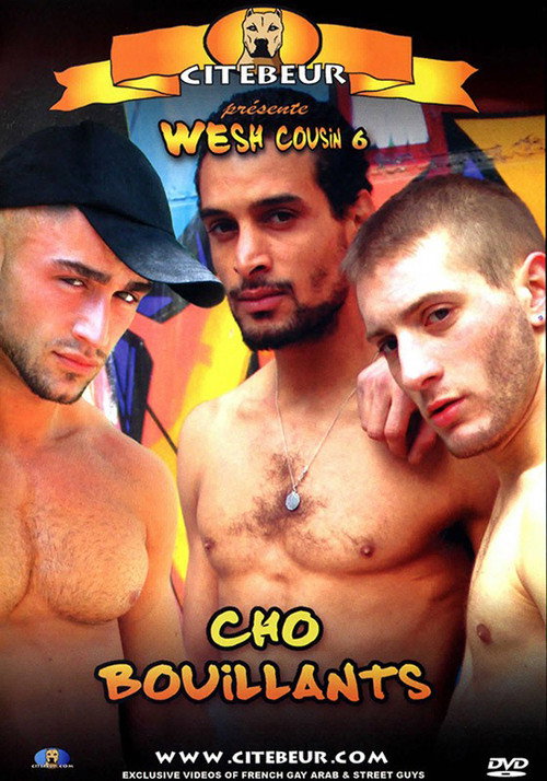 Movie poster for Wesh Cousin 6: Cho bouillants (2008)