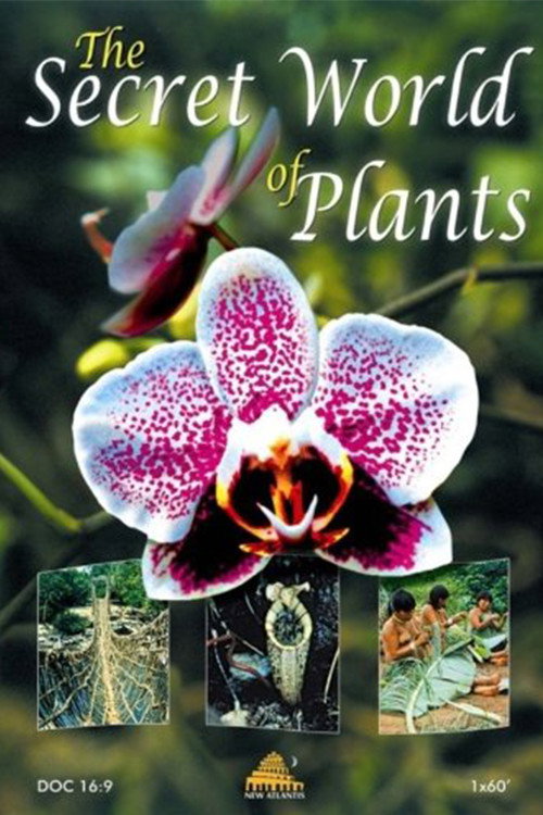 Movie poster for The Secret World of Plants (2003)