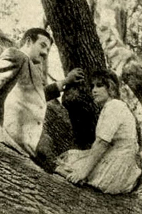 Movie poster for The Girl of the Grove (1912)