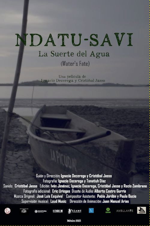 Movie poster for Water's Fate (2024)