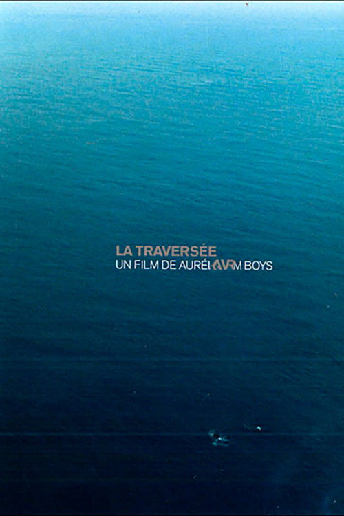 Movie poster for The Crossing (2005)