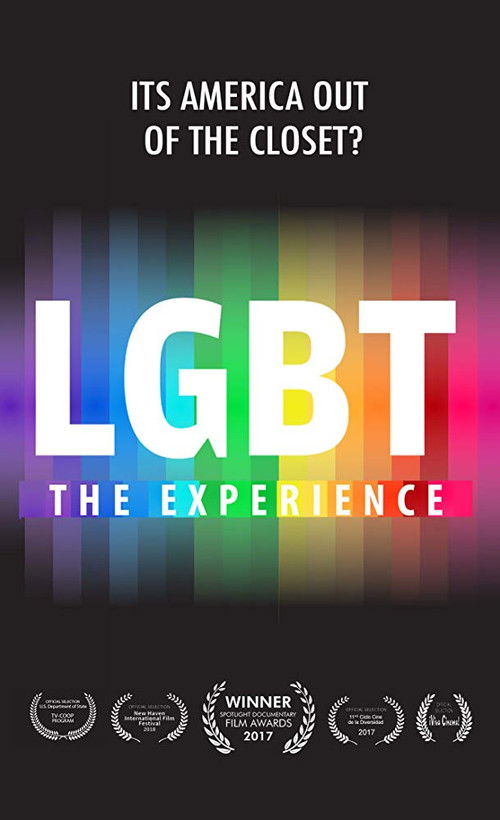 Movie poster for LGBT Experience (2018)