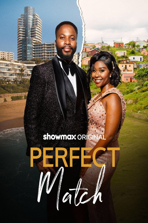 Movie poster for Perfect Match