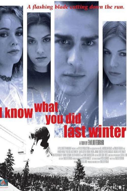Movie poster for I Know What You Did Last Winter (2004)