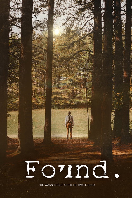 Movie poster for Found. (2020)