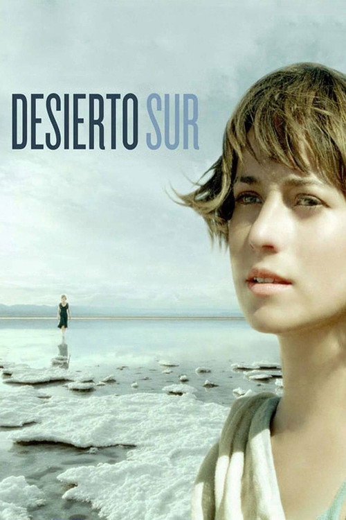 Movie poster for Desierto Sur (2008)