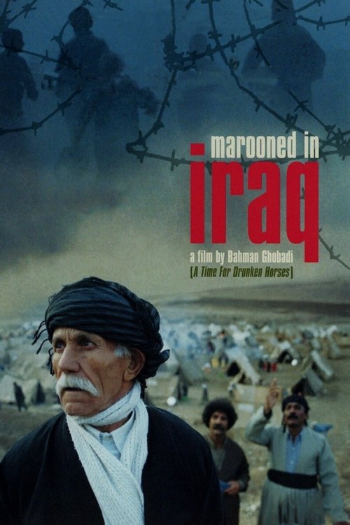 Movie poster for Marooned in Iraq (2002)