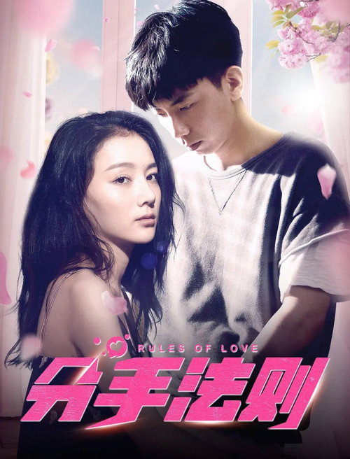 Movie poster for Rules of Love (2019)