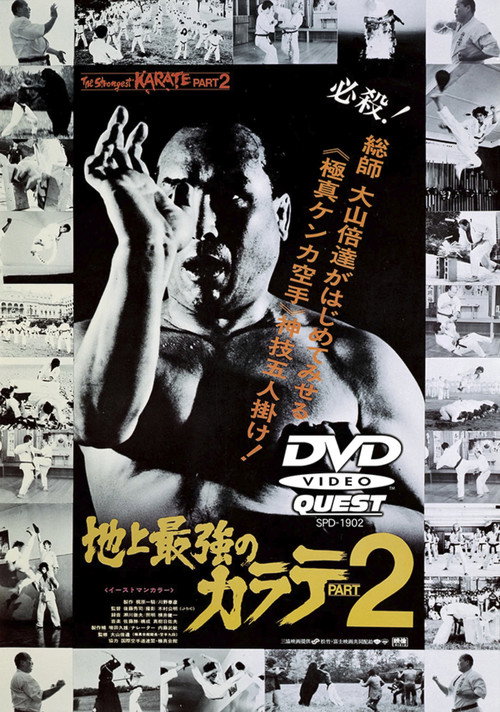 Movie poster for The Strongest Karate Part 2 (1976)