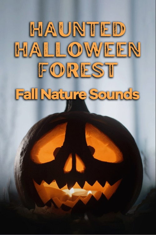 Movie poster for Haunted Halloween Forest: Fall Nature Sounds (2023)
