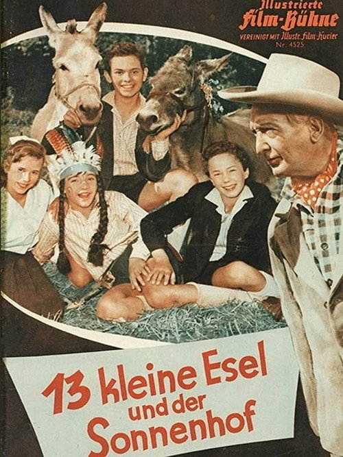 Movie poster for 13 Little Donkeys and the Sun Court (1958)