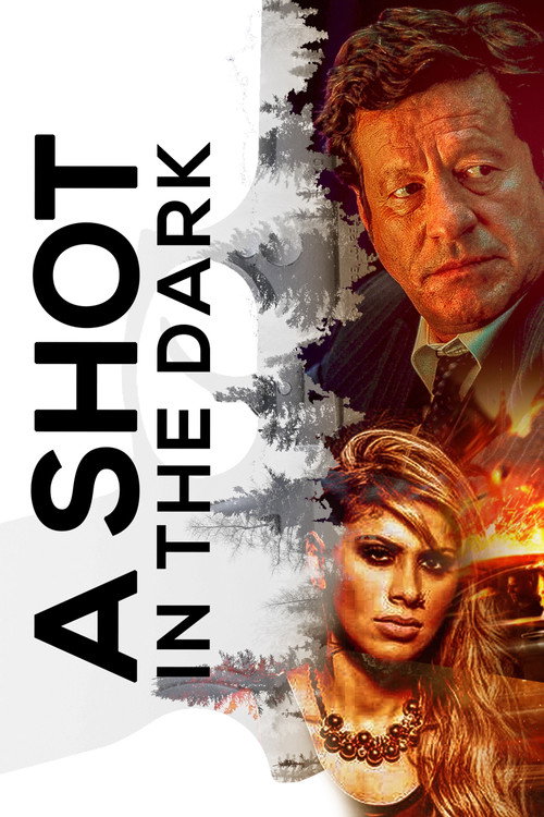 Movie poster for A Shot in the Dark (2005)
