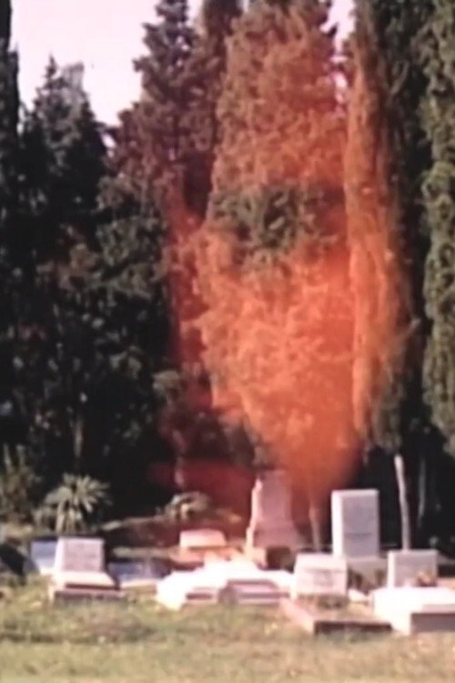 Movie poster for Self-Portrait at the Graveyard (1970)