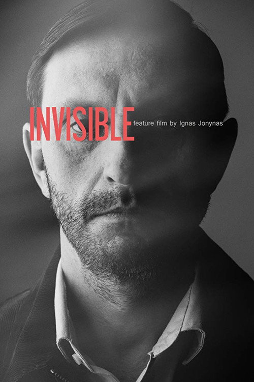 Movie poster for Invisible (2019)