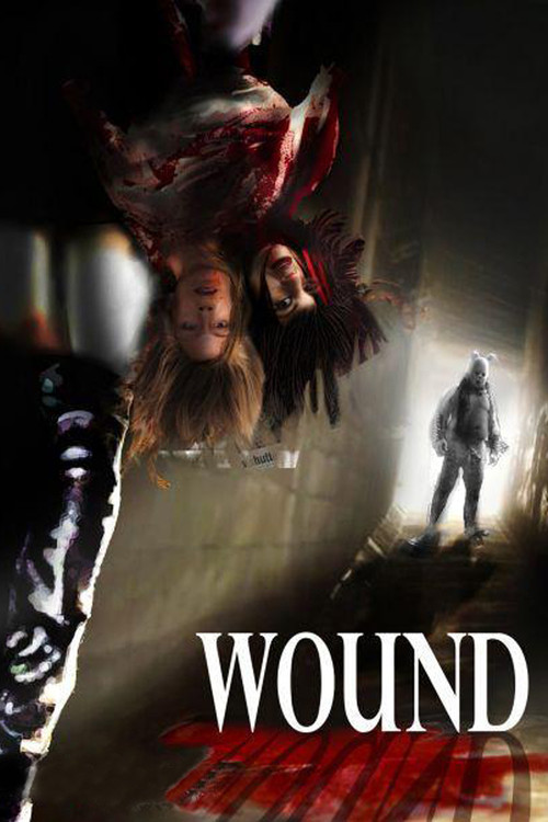 Movie poster for Wound (2010)