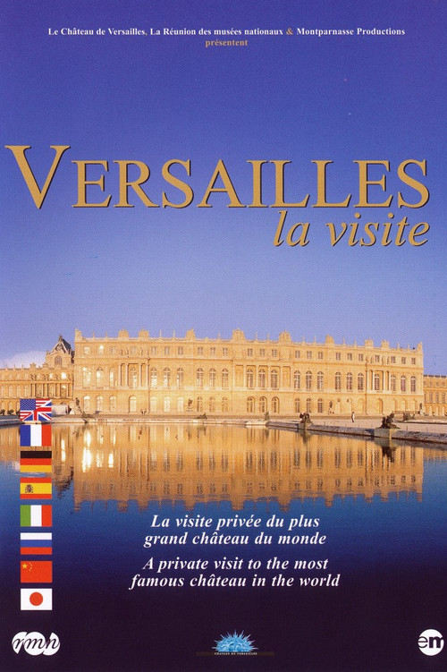 Movie poster for Versailles, the visit (1999)