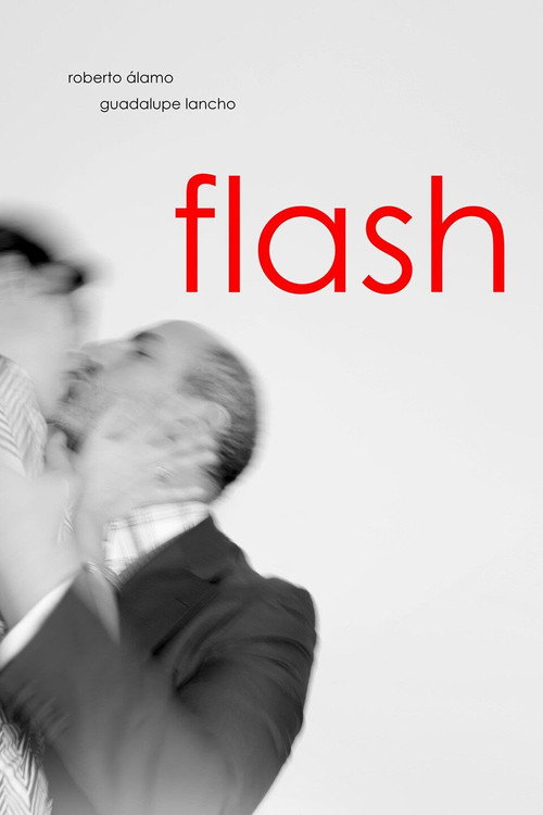 Movie poster for Flash (2014)