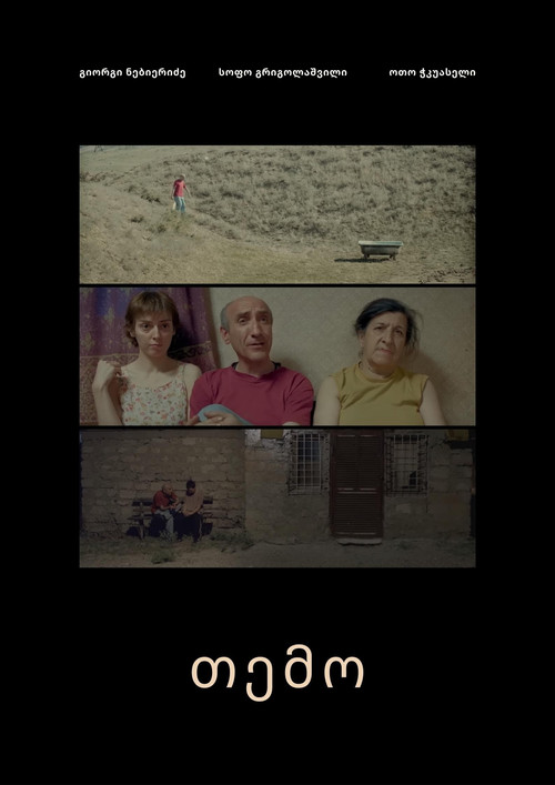 Movie poster for Temo (2019)