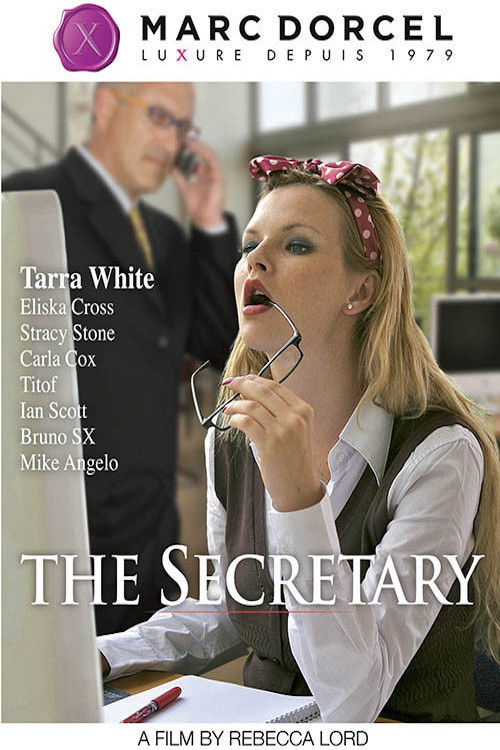 Movie poster for The Secretary (2010)