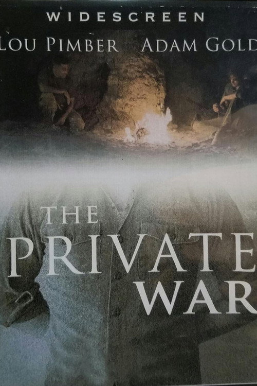 Movie poster for The Private War (2014)