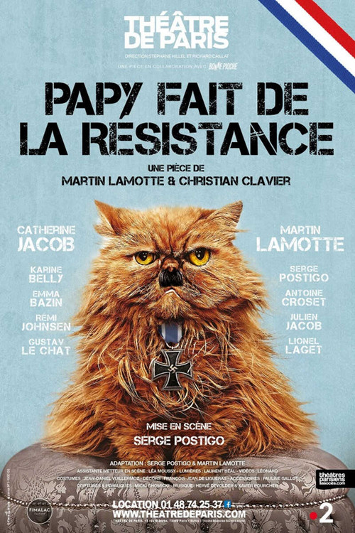 Movie poster for Papy fait de la résistance (2021)