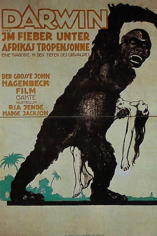 Movie poster for Darwin - Die Abstammung des Menschen vom Affen (1920)