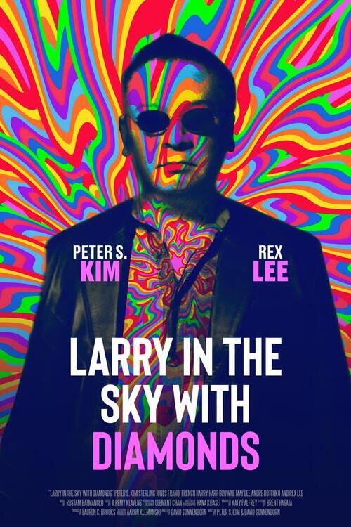 Movie poster for Larry in the Sky with Diamonds (2024)