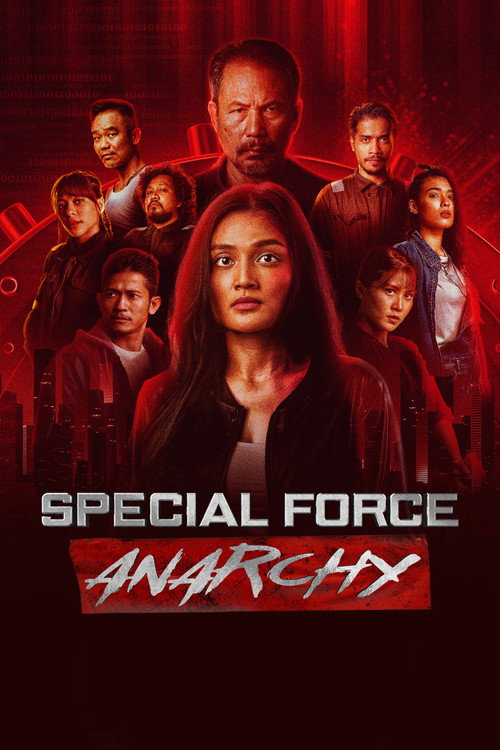 Special Force: Anarchy poster