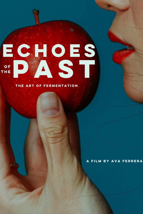 Movie poster for Echoes of the Past (2025)