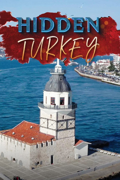 Movie poster for Hidden Turkey (2021)