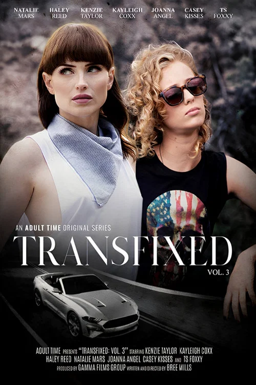 Movie poster for Transfixed 3 (2019)
