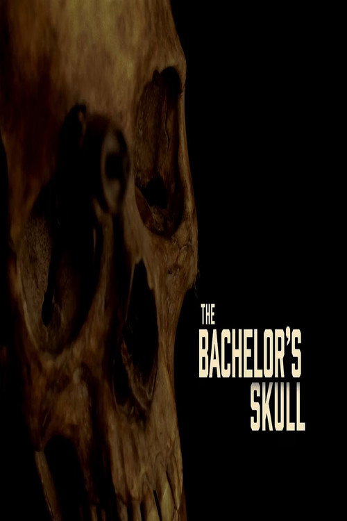Movie poster for The Bachelor's Skull (2016)