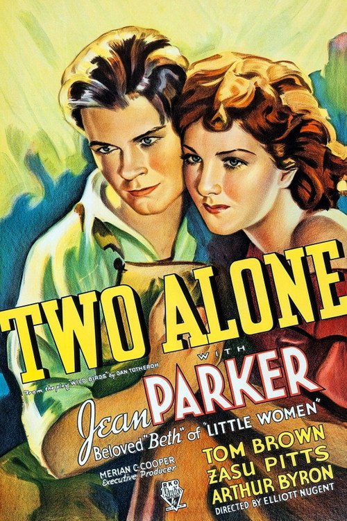 Movie poster for Two Alone (1934)