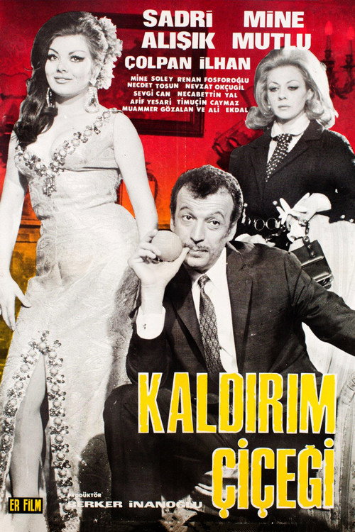 Movie poster for Kaldırım Çiçeği (1969)