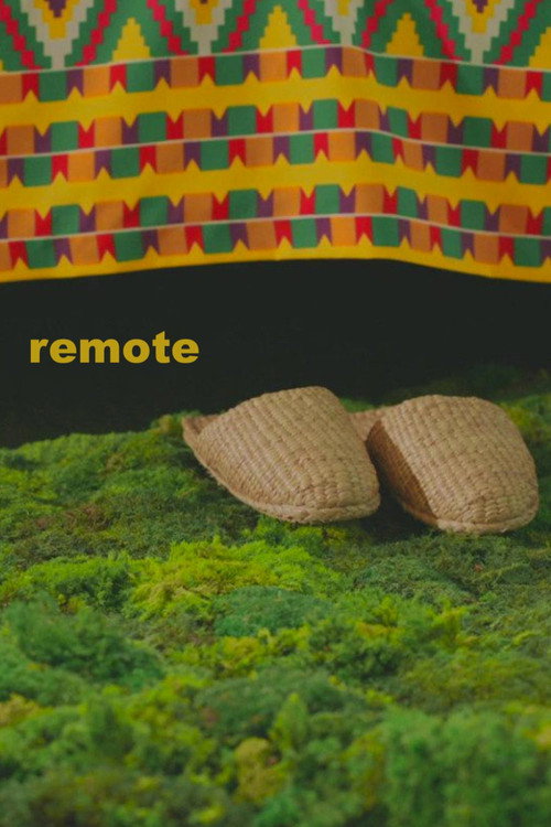 Movie poster for Remote (2022)