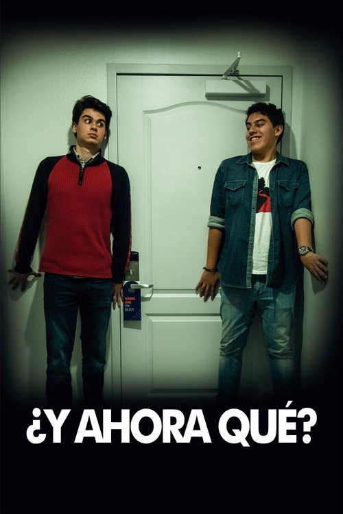 Movie poster for ¿Y ahora qué? (2019)