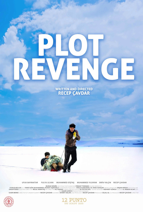 Movie poster for Plot Revenge (2024)