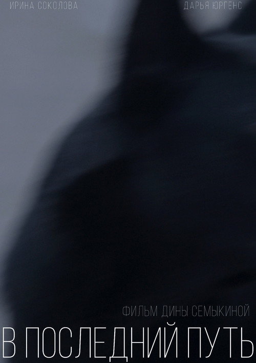 Movie poster for On the Last Journey (2021)