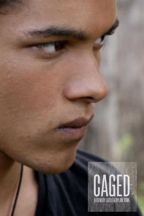 Movie poster for Caged (2013)