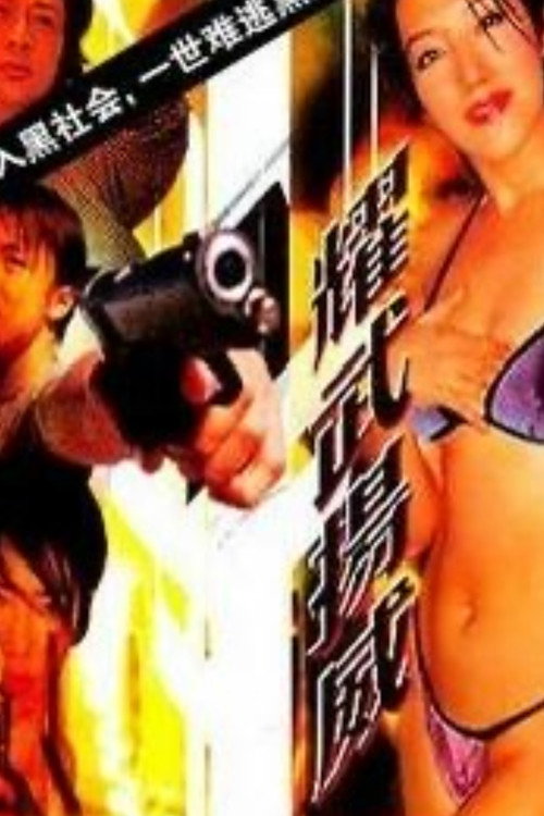 Movie poster for Fantasy of Hero (2001)