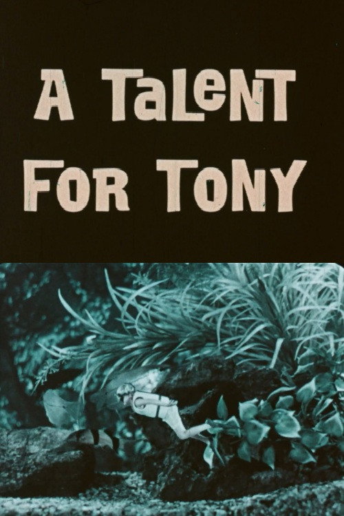 Movie poster for A Talent For Tony (1971)